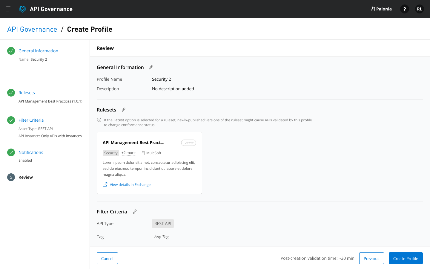 API Governance console